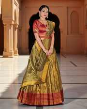 Zari Embellished Ethnic Half Saree