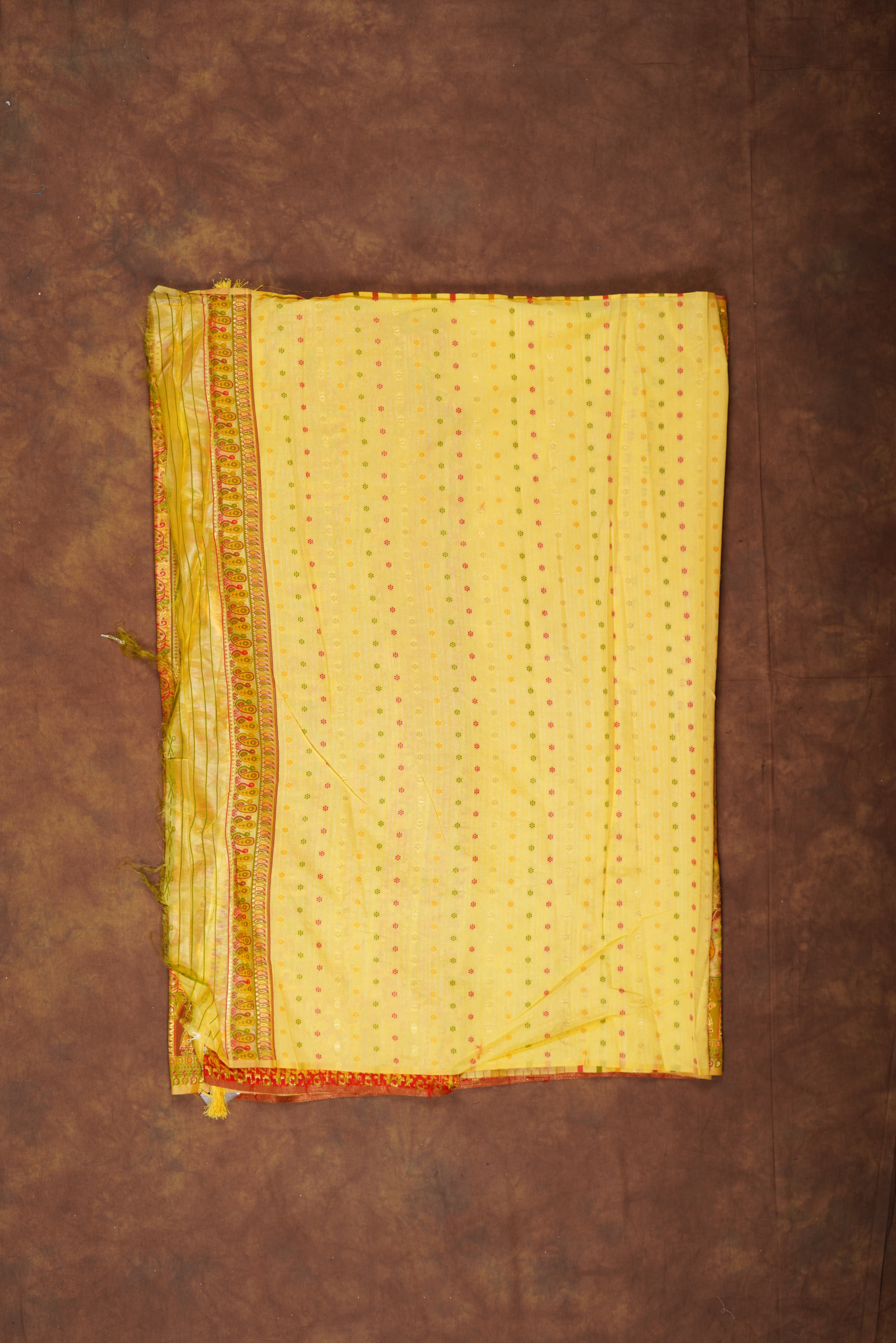 Dola Silk Saree With Pashmina Artistry